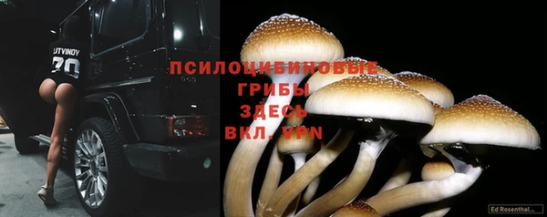 кокс Вяземский