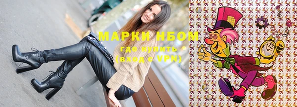 тгк Володарск