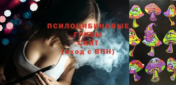 тгк Володарск