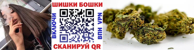 Бошки Шишки ГИДРОПОН Ельня